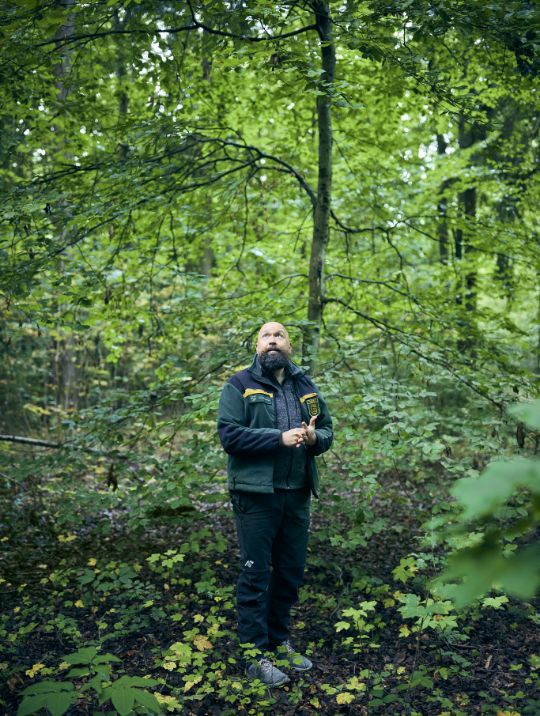 A man standing in the forest.