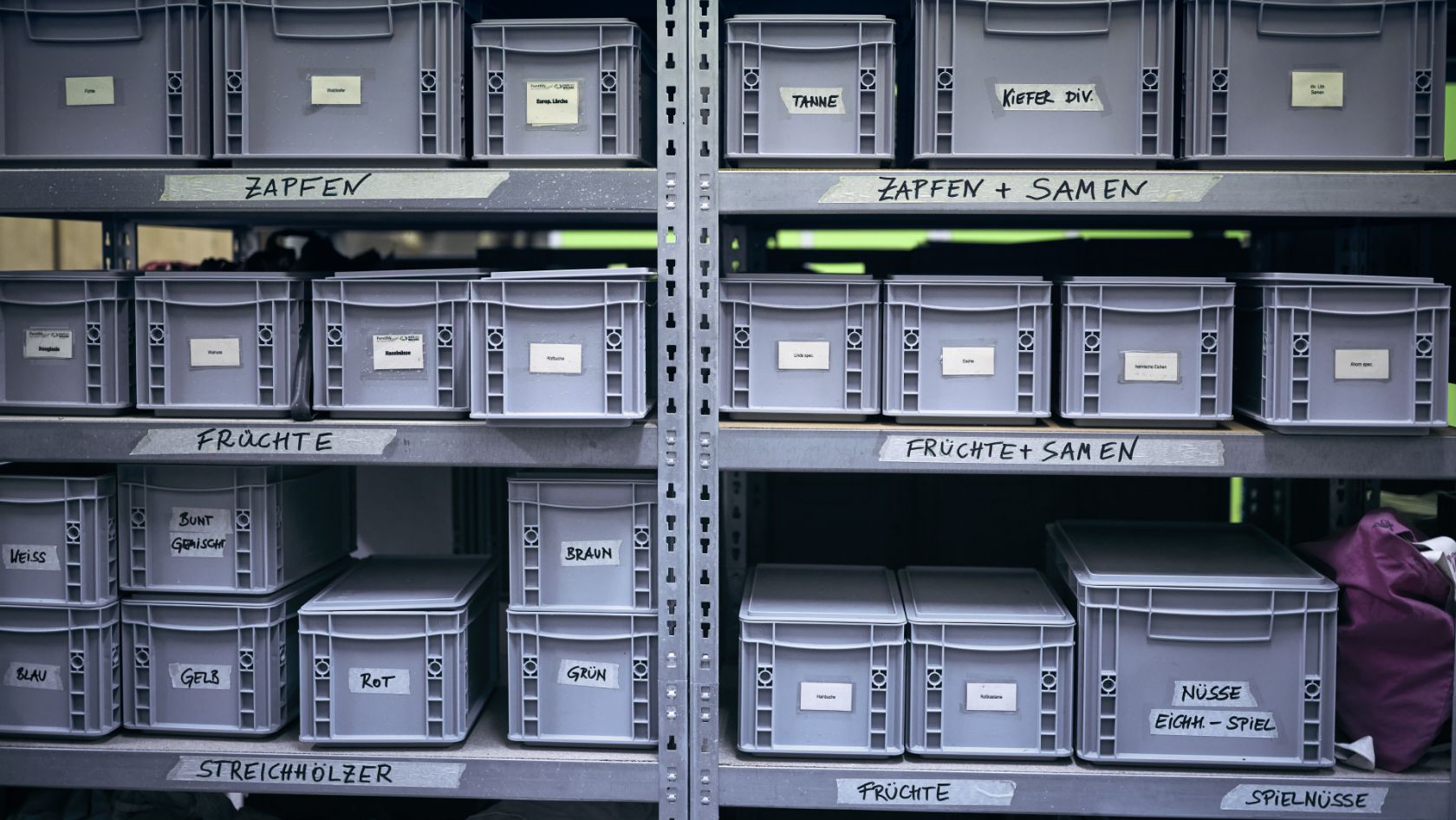 Shelf with labeled boxes.