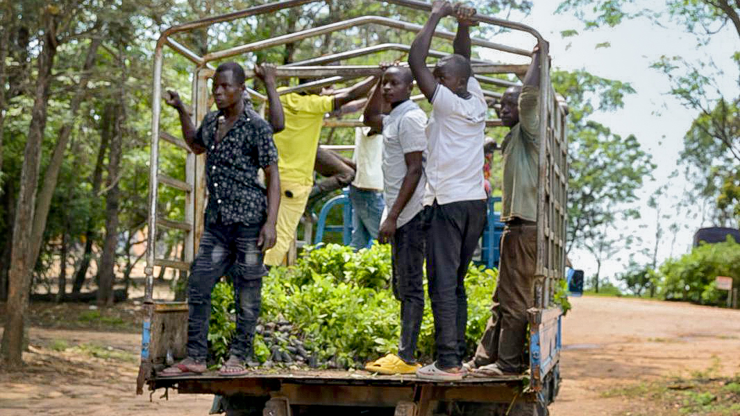 Several men standing on a pickup truck loaded with seedlings.