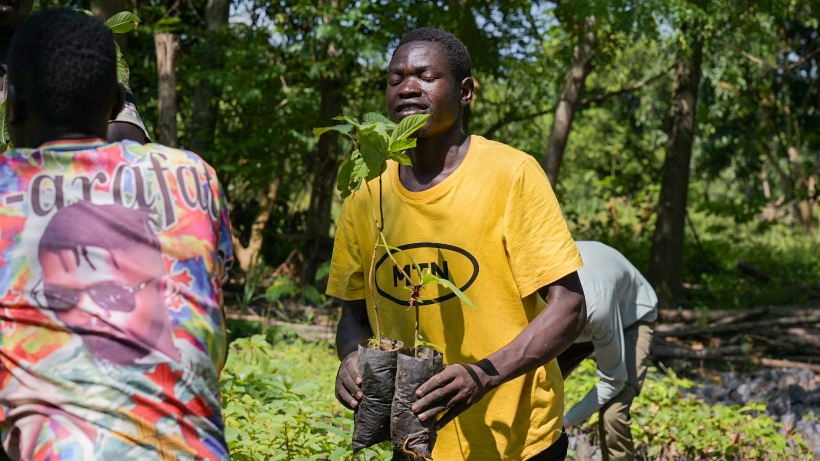 A man holding seedlings during a planting campaign in Uganda.