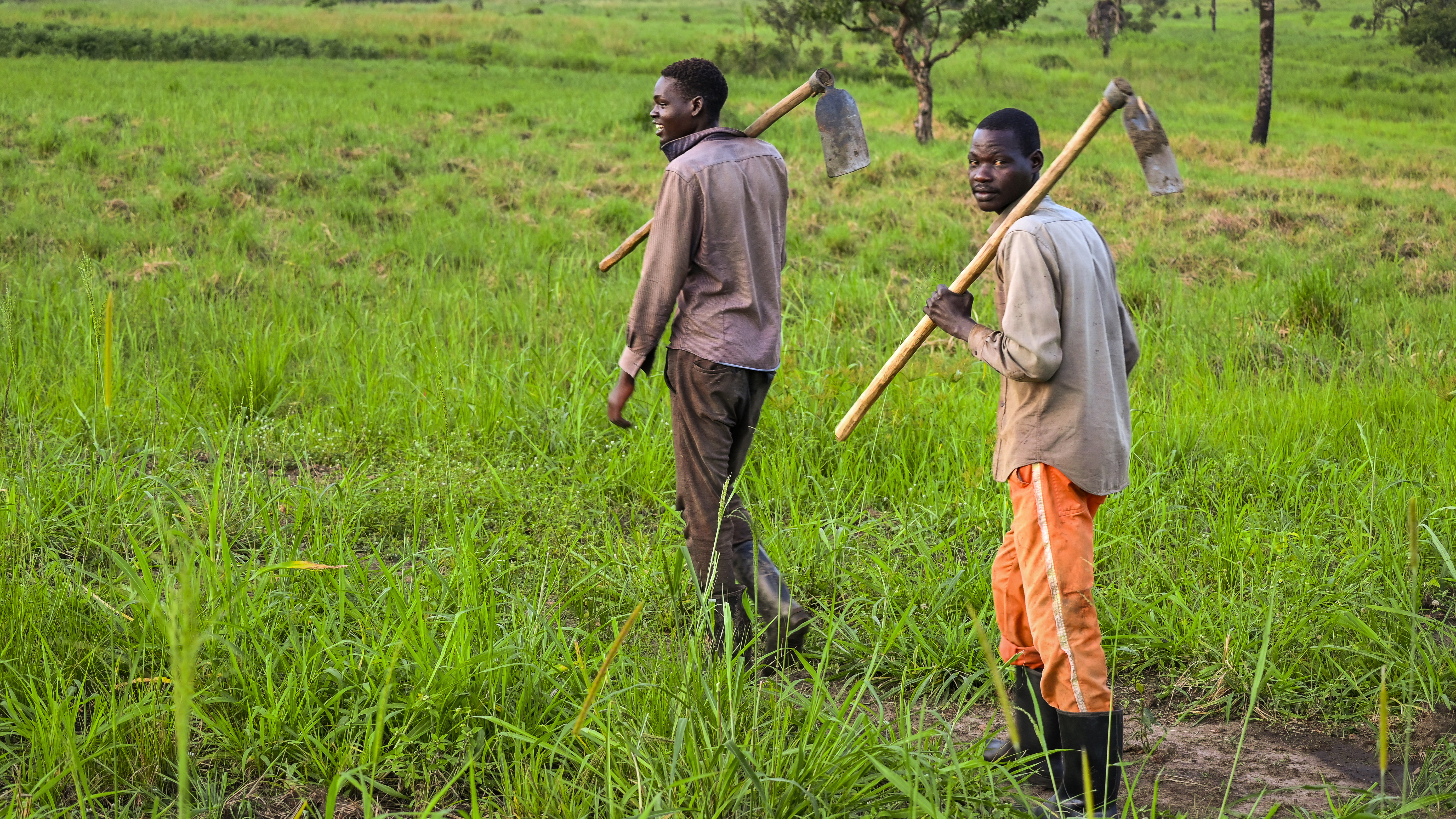 Two men with pickaxes in a field in Uganda.