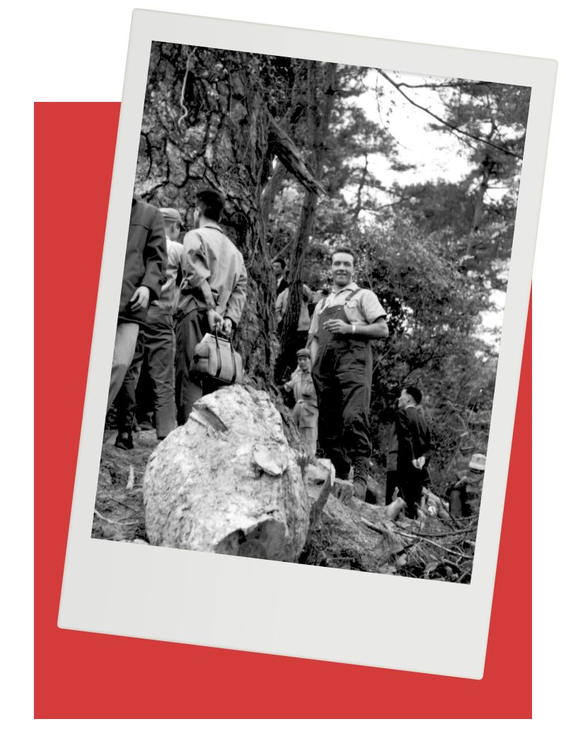 Julius W&ouml;rz and other people in a forest in Japan, next to a large tree; black and white photo.