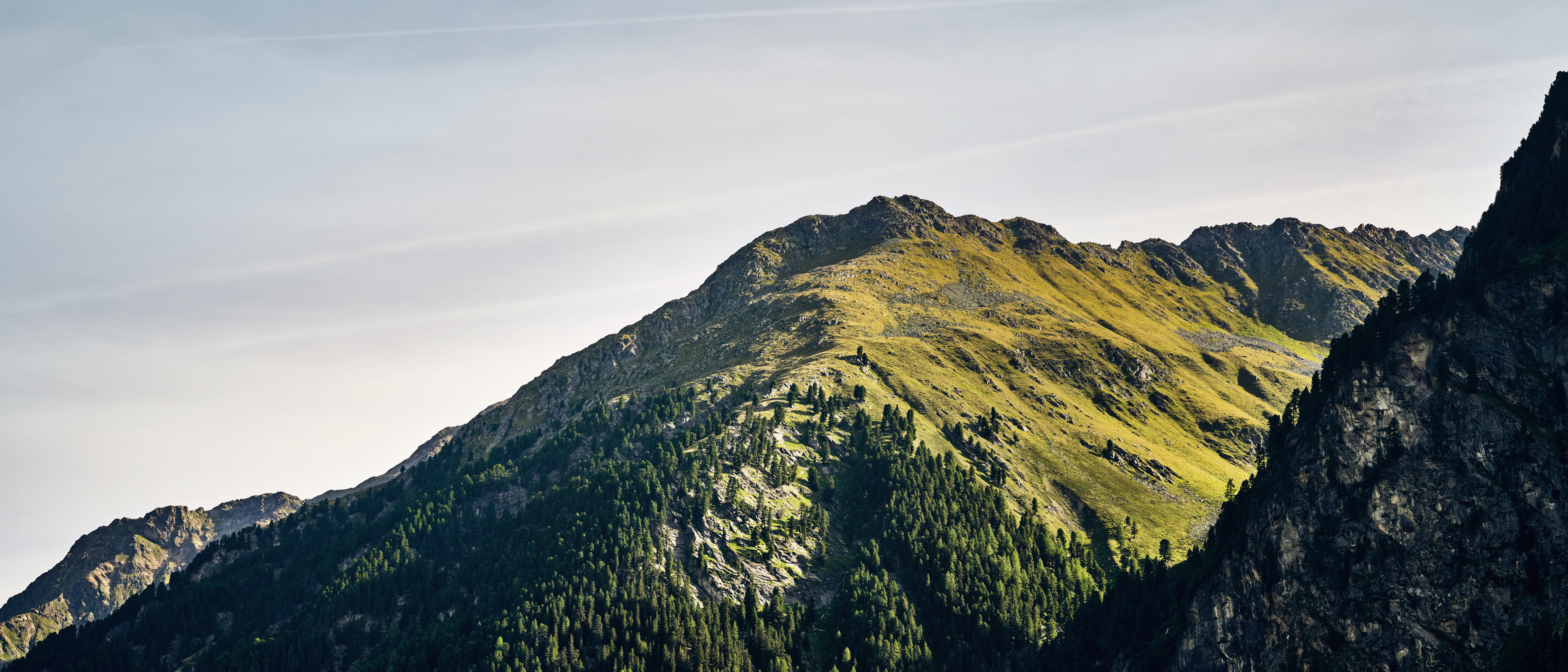 A sunlit mountain with forest boundary.